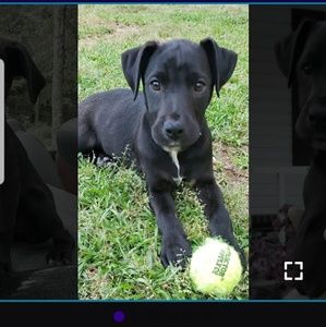 Meet your Posher, Kelli